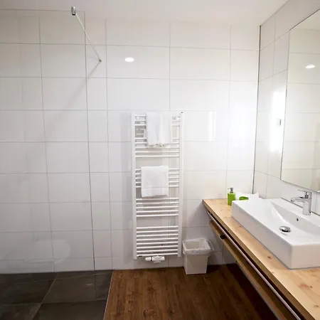 Busses פרייבורג